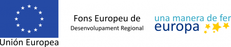 Fons europeu de desenvolupament regional